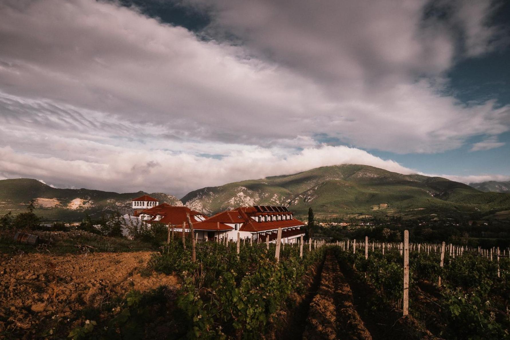 Popova Kula Hotel & Winery Демир-Капія Екстер'єр фото